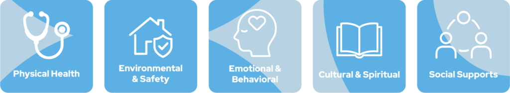 the five domains of a whole-person comprehensive health assessment: physical health, emotional and behavioral well-being, social supports, environmental and safety factors and cultural and spiritual preferences